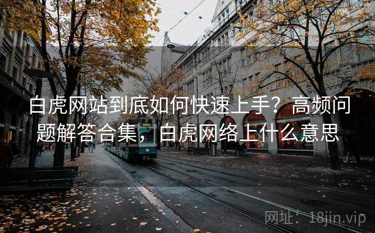 白虎网站到底如何快速上手？高频问题解答合集，白虎网络上什么意思