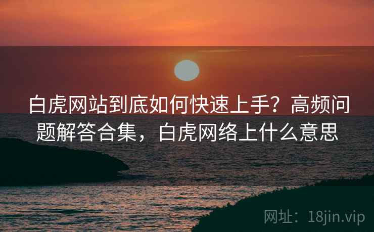 白虎网站到底如何快速上手？高频问题解答合集，白虎网络上什么意思
