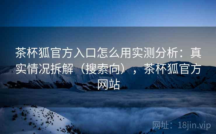茶杯狐官方入口怎么用实测分析：真实情况拆解（搜索向），茶杯狐官方网站