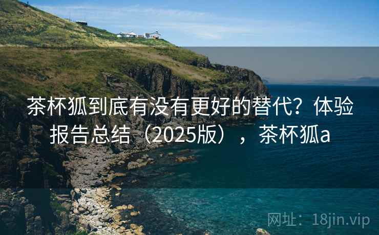 茶杯狐到底有没有更好的替代？体验报告总结（2025版），茶杯狐a