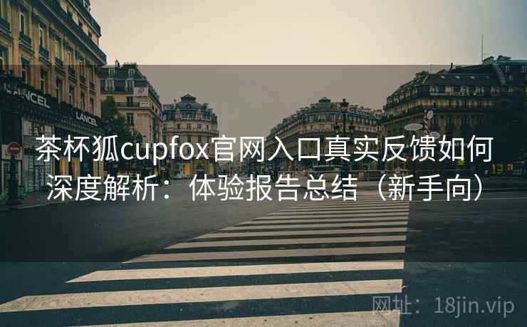 茶杯狐cupfox官网入口真实反馈如何深度解析：体验报告总结（新手向）